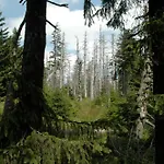 Panoramic - Wanderlust #328 Mit Schwimmbad